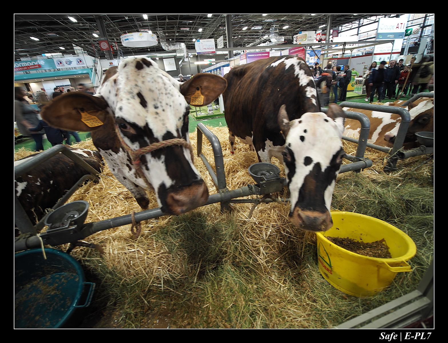 2020 - 02 - Salon agriculture 61